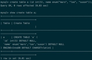 软件开发的多元化领域