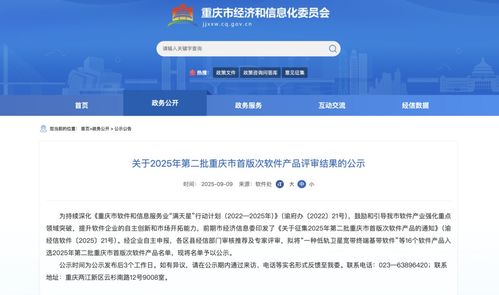 2025年第二批重庆市首版次软件产品名单公示，引领行业创新与发展